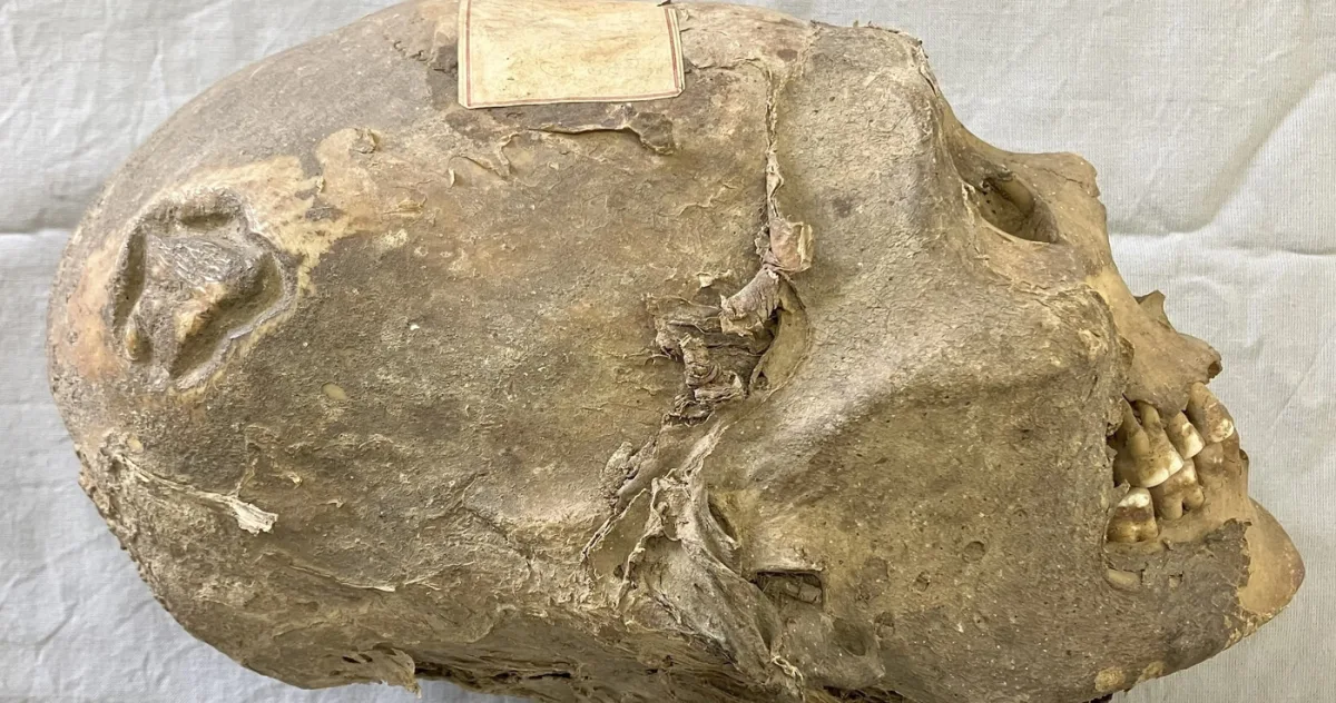 cap mumificat de 350 de ani 