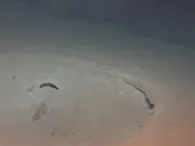 Craterele gigantice din Pacific, explorate de cercetătorii chinezi: ce au descoperit este de sute de ori mai mare și mișună de viață Craterele gigantice din Pacific