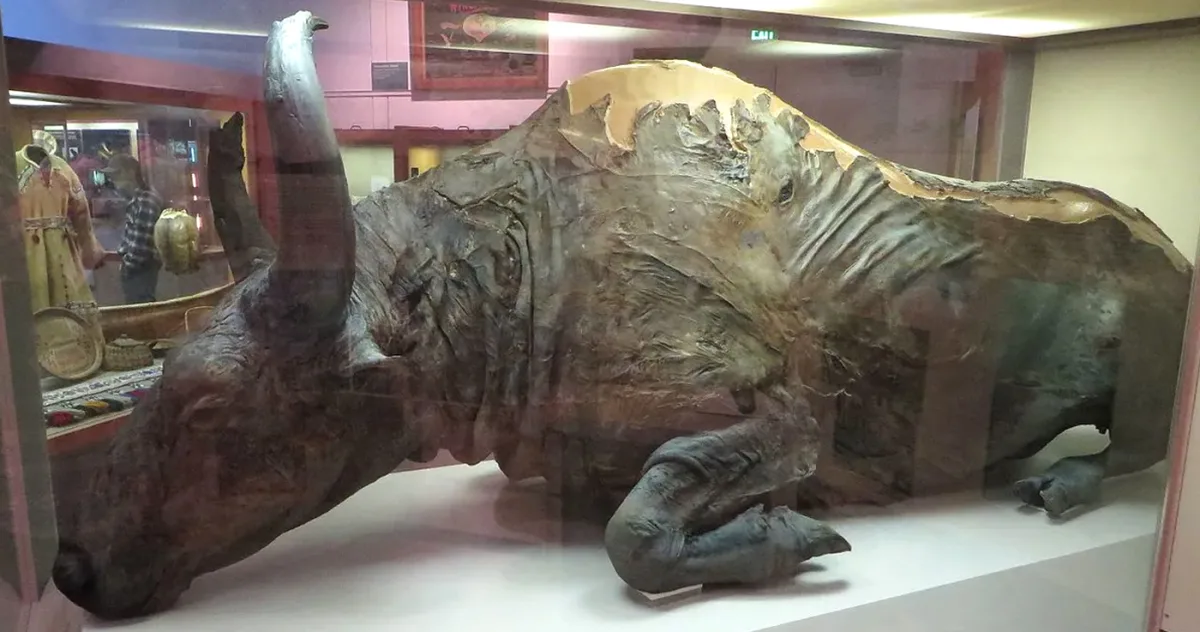 friptura 50000 de ani