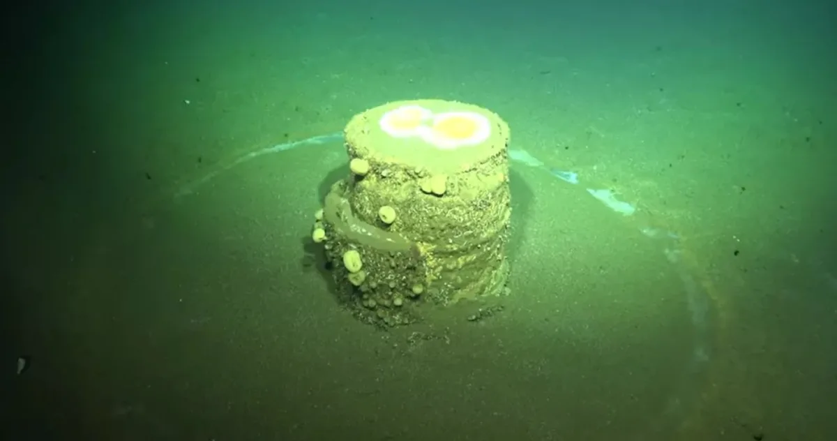Inele misterioase aflate pe fundul oceanului dezvăluie un secret toxic