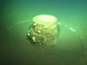 Inele misterioase aflate pe fundul oceanului dezvăluie un secret toxic uitat de zeci de ani Inele misterioase aflate pe fundul oceanului dezvăluie un secret toxic