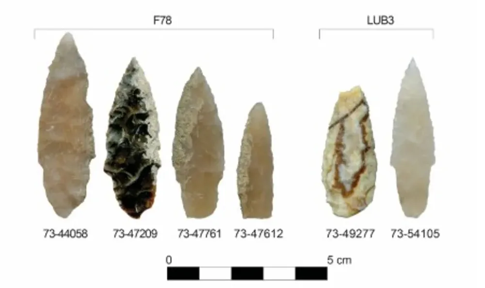 Uneltele paleolitice din Idaho sunt similare cu cele găsite în Hokkaido, Japonia.