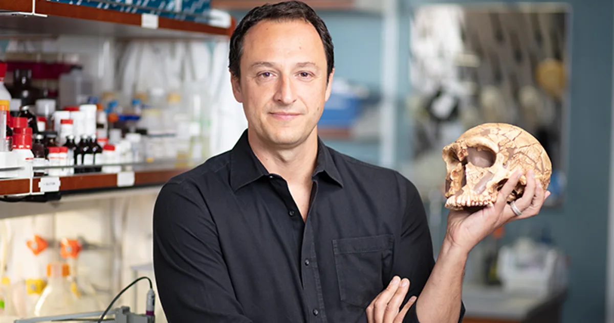 limbajul Alysson Muotri, Ph.D. Expunerea la plumb a modelat evoluția umană, influențând dezvoltarea creierului și apariția limbajului.