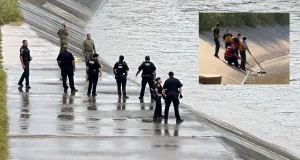 criminal în serie în Houston