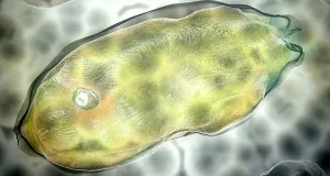 După 40.000 de ani, microbii se trezesc din permafrostul dezghețat