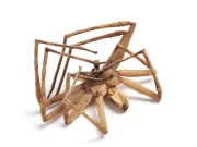 De ce păianjenii se ghemuiesc astfel atunci când mor? De ce li se strâng picioarele? De ce păianjenii se ghemuiesc astfel atunci când mor?