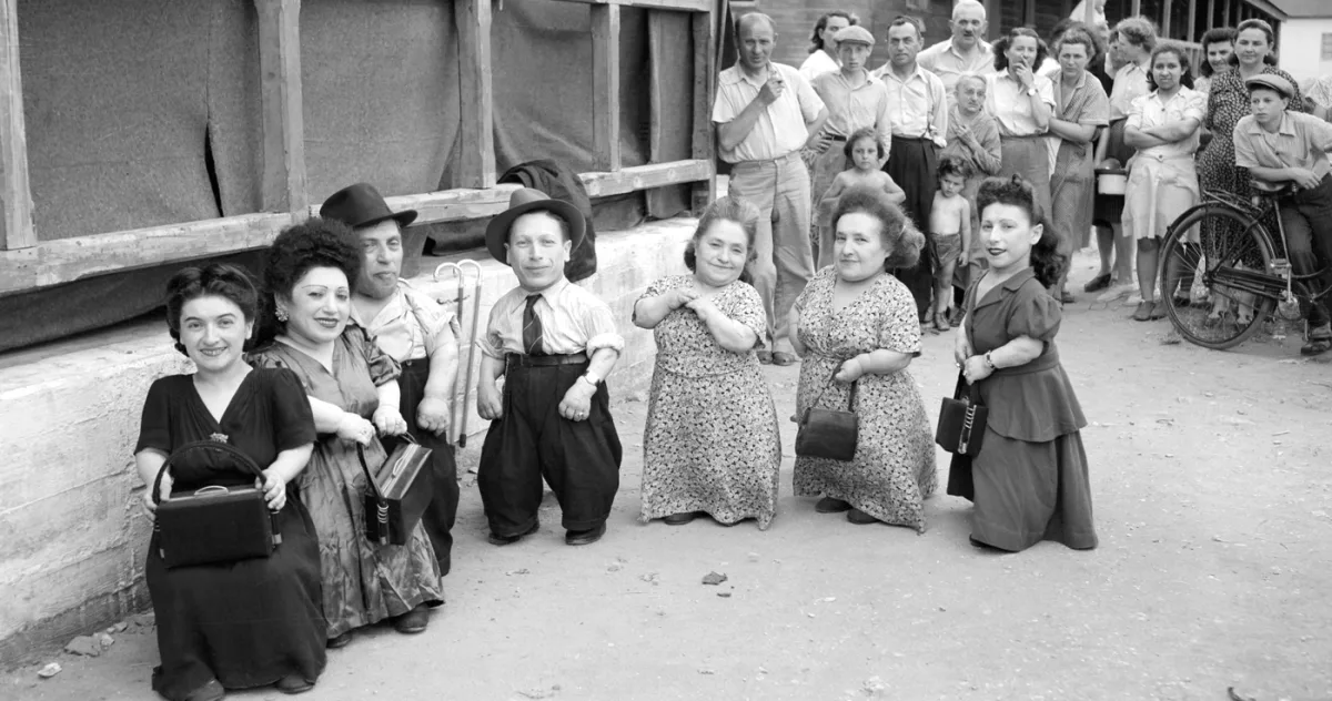 Cei 7 pitici din România