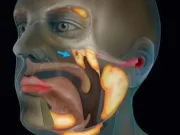 Oamenii de știință au descoperit din greșeală un nou organ în corpul uman Oamenii de știință au descoperit din greșeală un nou organ în corpul uman