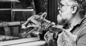 6 „reguli ascunse ale domesticirii”