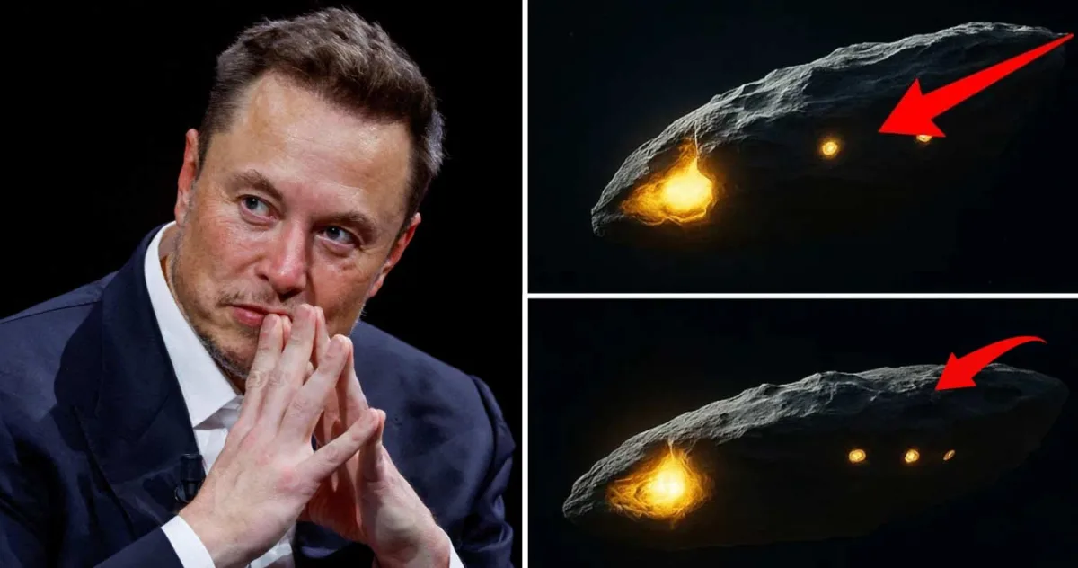 elon musk 3i atlas