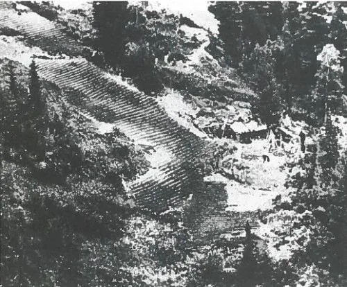 Ferma familiei Lykov văzută dintr-un avion de recunoaștere sovietic, 1980
