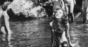 Fulgii care nu erau zăpadă