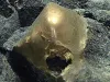 Un misterios „glob auriu” a fost descoperit pe fundul oceanului