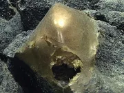 Un misterios „glob auriu” a fost descoperit pe fundul oceanului și arată exact ca începutul unui film horror Un misterios „glob auriu” a fost descoperit pe fundul oceanului