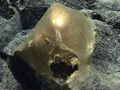 Un misterios „glob auriu” a fost descoperit pe fundul oceanului și arată exact ca începutul unui film horror Un misterios „glob auriu” a fost descoperit pe fundul oceanului