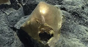 Un misterios „glob auriu” a fost descoperit pe fundul oceanului