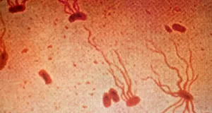 boală mortală străveche