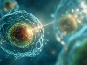 Sunt radicalii liberi chiar atât de răi? De ce aceste molecule „rebele” ar putea fi, de fapt, eroii neînțeleși ai corpului tău Sunt radicalii liberi chiar atât de răi?