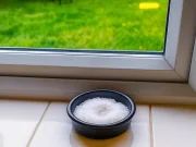 De ce este bine să pui un bol cu sare pe pervazul ferestrei în această iarnă? De ce este bine să pui un bol cu sare pe pervazul ferestrei în această iarnă?