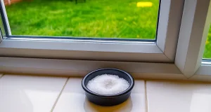 De ce este bine să pui un bol cu sare pe pervazul ferestrei în această iarnă?