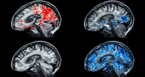 5 semnături genetice