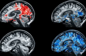 5 semnături genetice