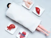 Aproximativ 90% dintre oameni raportează schimbări de personalitate după un transplant de organe – De ce se întâmplă asta? 90% dintre oameni raportează schimbări de personalitate după un transplant de organe