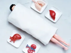 Aproximativ 90% dintre oameni raportează schimbări de personalitate după un transplant de organe – De ce se întâmplă asta? 90% dintre oameni raportează schimbări de personalitate după un transplant de organe
