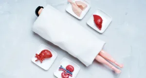 90% dintre oameni raportează schimbări de personalitate după un transplant de organe