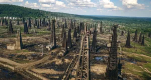 „Aurul negru” al României