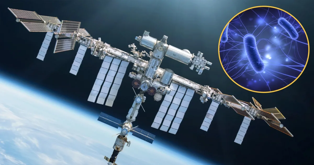 Virușii „antrenați în spațiu” se întorc pe Pământ