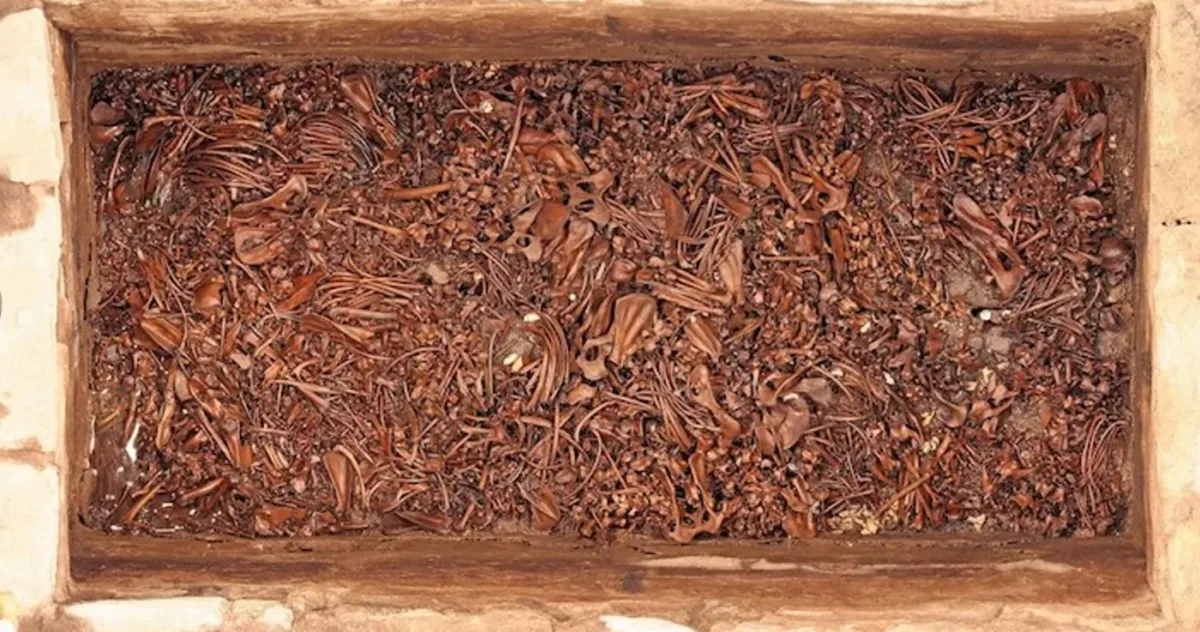 Grădina zoologică a lui Montezuma