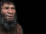 Ce sunt „liniile genealogice fantomă”? Misterul speciilor dispărute care încă „bântuie” ADN-ul uman Ce sunt „liniile genealogice fantomă”? Misterul speciilor dispărute care încă „bântuie” ADN-ul uman