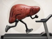 Exercițiile fizice declanșează o enzimă în ficat care repară „scurgerile” din creier și restabilește memoria Exercițiile fizice declanșează o enzimă în ficat