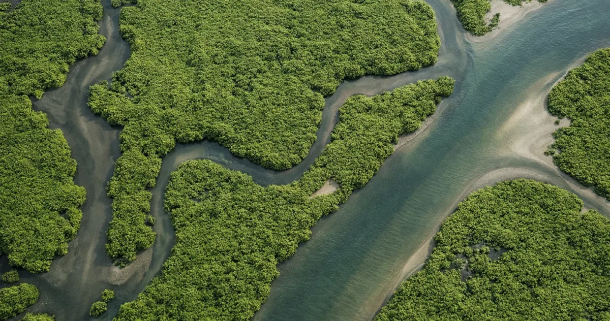 Misterul creșterii record a metanului