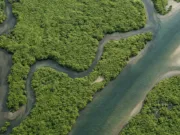 Misterul creșterii record a metanului