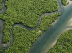 Misterul creșterii record a metanului: de ce „detergentul” atmosferei a dat greș la începutul anilor 2020 Misterul creșterii record a metanului