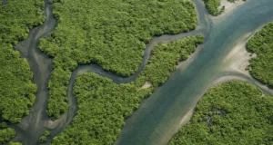 Misterul creșterii record a metanului