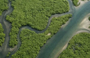 Misterul creșterii record a metanului: de ce „detergentul” atmosferei a dat greș la începutul anilor 2020 Misterul creșterii record a metanului