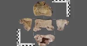 prima dovadă directă a „tancurilor” de război ale lui Hannibal în Spania