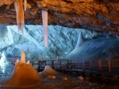 O bacterie veche de 5.000 de ani, trezită dintr-o peșteră din România, este deja imună la antibioticele noastre moderne O bacterie veche de 5.000 de ani, trezită dintr-o peșteră din România