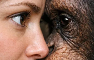 De ce au oamenii albul ochilor? Sclera ne conferă o superputere evolutivă, dar nu suntem singurii care o dețin albul ochilor