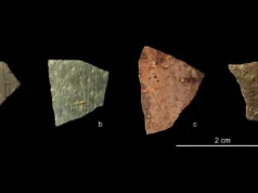 Fragmente antice de 60.000 de ani ar putea reprezenta cea mai veche geometrie cunoscută Cea mai veche geometrie