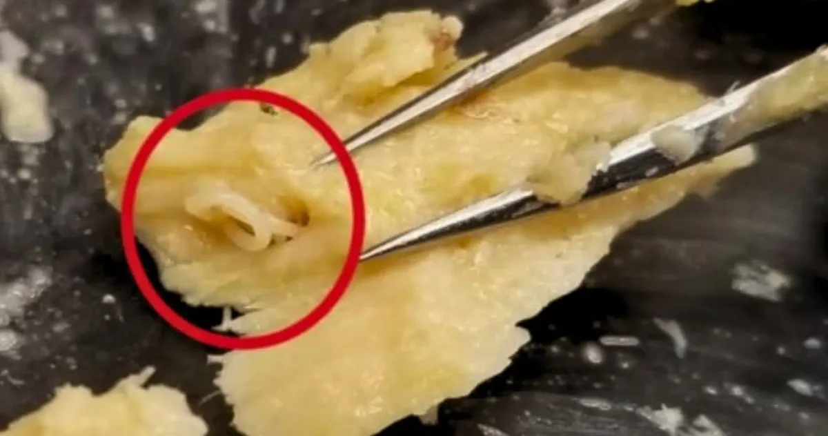 conserve vechi de somon