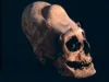 Cranii antice „cu aspect extraterestru”, găsite pe toate continentele