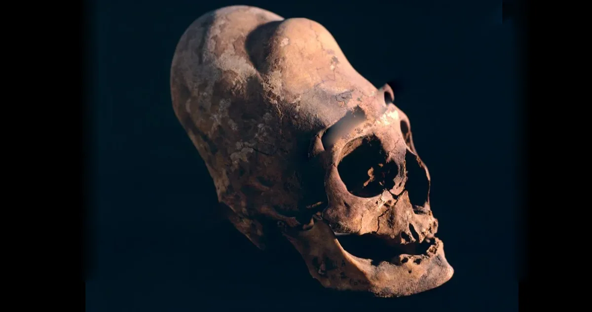 Cranii antice „cu aspect extraterestru”, găsite pe toate continentele