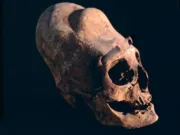 Cranii antice „cu aspect extraterestru”, găsite pe toate continentele