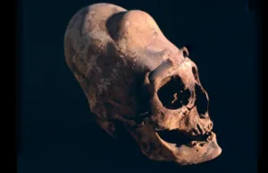 Cranii antice „cu aspect extraterestru”, găsite pe toate continentele, în afară de Antarctica: antropologii explică de ce Cranii antice „cu aspect extraterestru”, găsite pe toate continentele