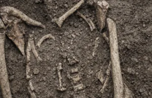 Schelete cu cuie bătute în piept, descoperite la Roma