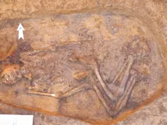 O descoperire rară în Neamț: Mormânt cu o vechime de 4.500 de ani, găsit pe traseul autostrăzii A8